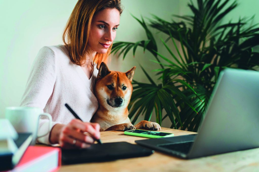 Homeoffice 2.0 Detail Haustier